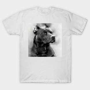 Hound T-Shirt